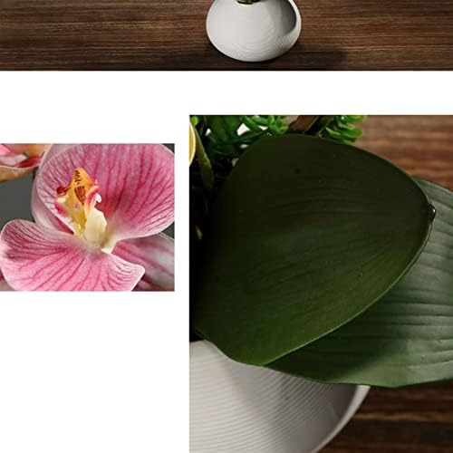 Artificial Phalaenopsis Flower for Home Decoration