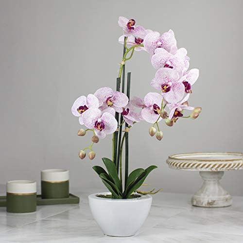 Northlight Artificial Orchid Plant in White Pot 21 Inch Pink
