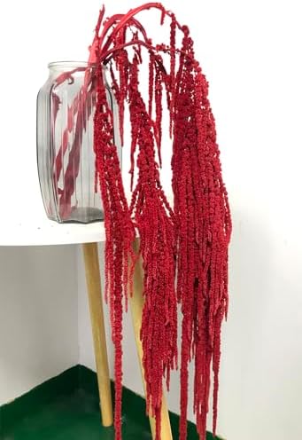 5 Piece Amaranthus Flower Dried Hanging Wedding Decor Red