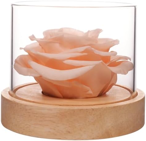 MODCON Home Scent Rose Real Fragrance Lasts 4 Months Gift for Her
