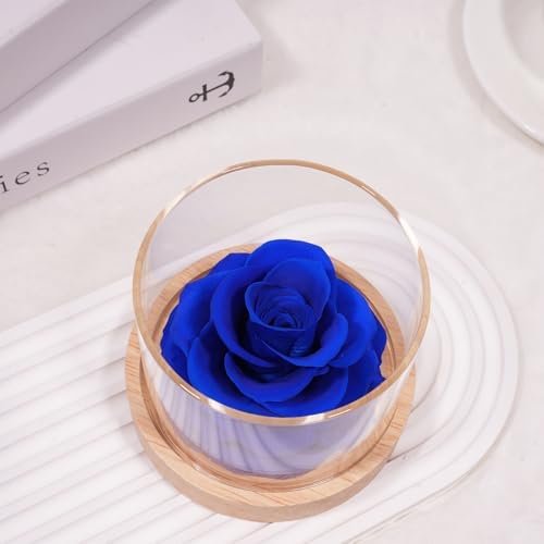 MODCON Real Fragrance Roses Last 4 Months Gift for Women