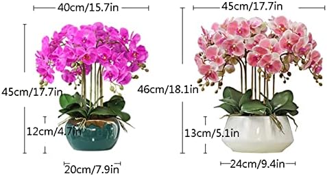 Realistic Artificial Orchid in Ceramic Pot with Gold Trim