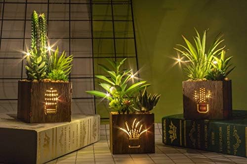 BEGONDIS 3 Piece Artificial Succulent Set with LED Lights