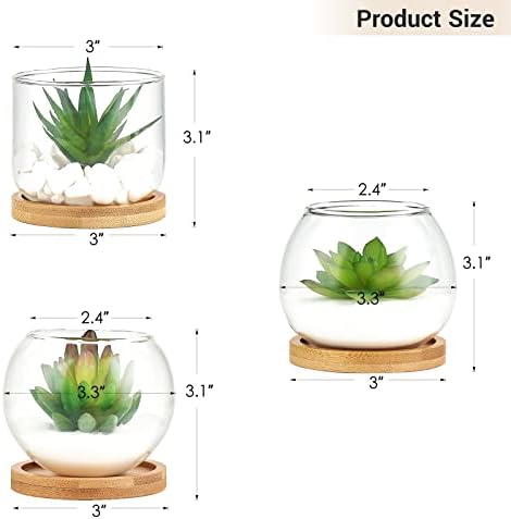Mkono Artificial Succulent in Clear Glass Pot
