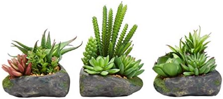 Pure Garden Artificial Succulent Plants 3-Piece Set