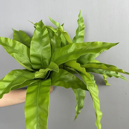 2 Pcs Birds Nest Ferns Fake Plants 177 In Artificial Greenery Shrubs