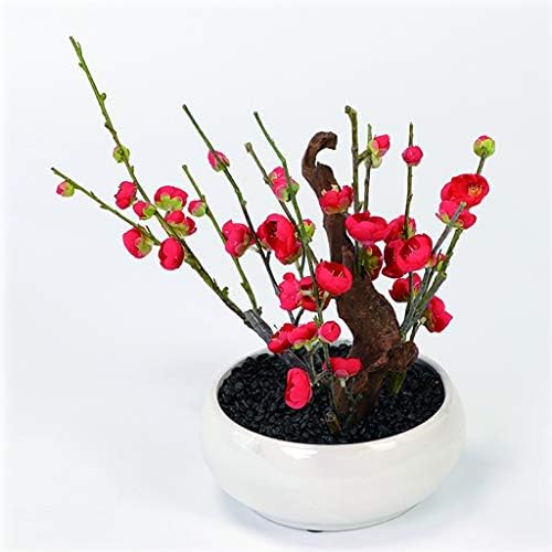 LMJYU Artificial Plum Blossoms 3PCS Vivid Bloom Simplicity Bonsai Display