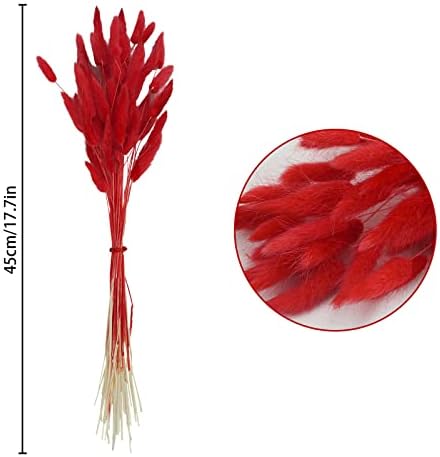 Uieke 17 Inch Natural Red Bunny Tails Dried Flowers 240 Pcs