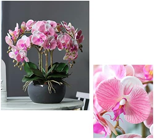 Realistic Artificial Orchid in Ceramic Pot with Gold Trim