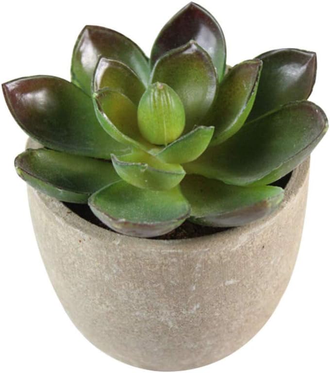 5pcs Artificial Succulent Plants Decorative Faux Plants