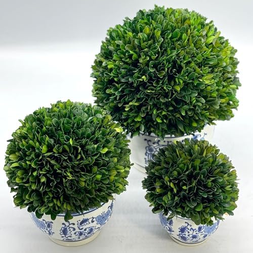 Galt International 7 Inch Preserved Boxwood Ball in Blue White Pot Planter
