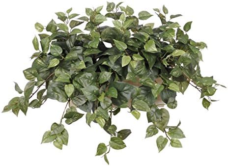 Artificial Pothos in White-Wash Wood Ledge