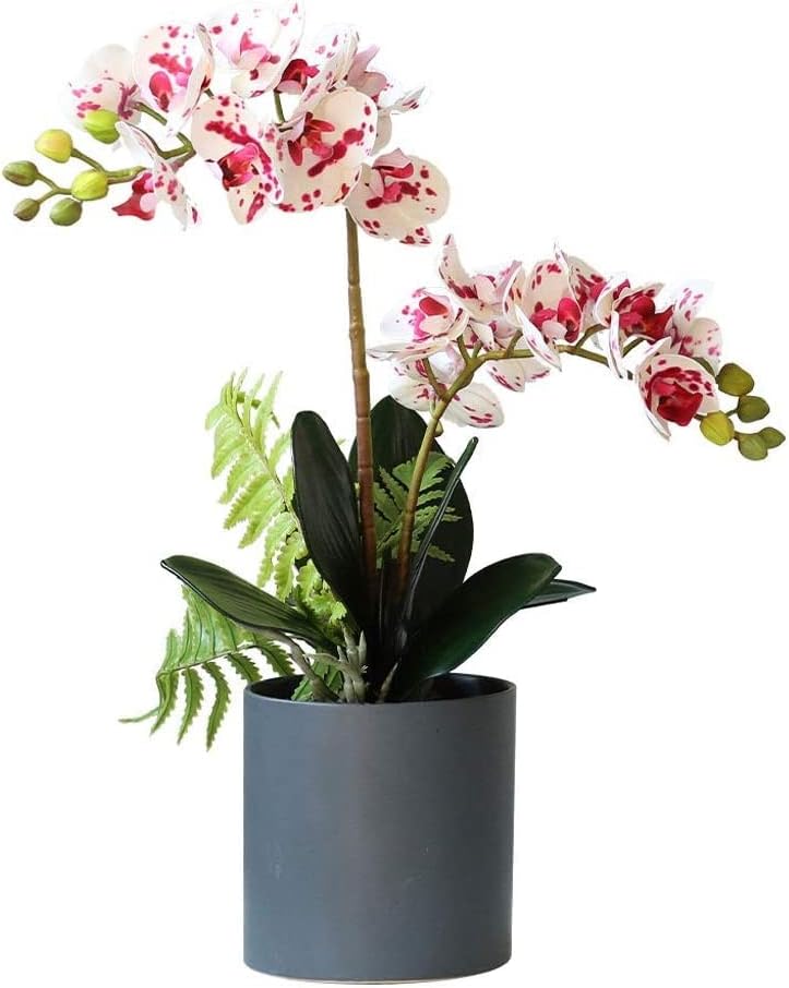 Lifelike Artificial Phalaenopsis Orchid Arrangement in Pot