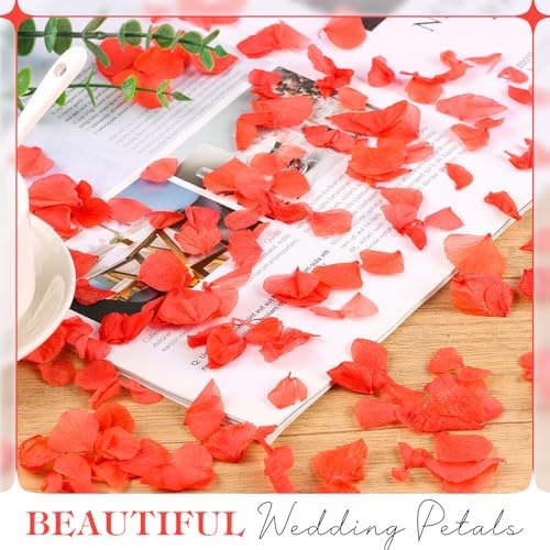 2500PCS Natural Red Hydrangea Petals for Wedding Aisle and Proposals