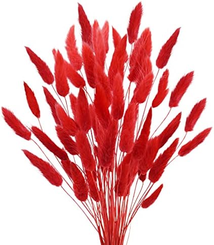 Uieke 17 Inch Natural Red Bunny Tails Dried Flowers 240 Pcs