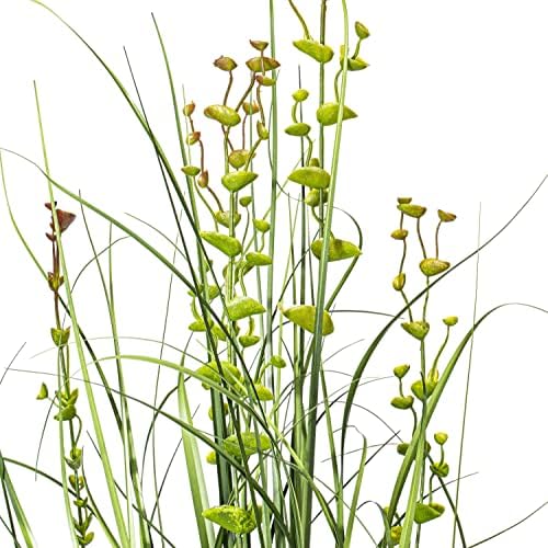 Vickerman 36 Inch Artificial Grass and Eucalyptus Plant with Black Pot