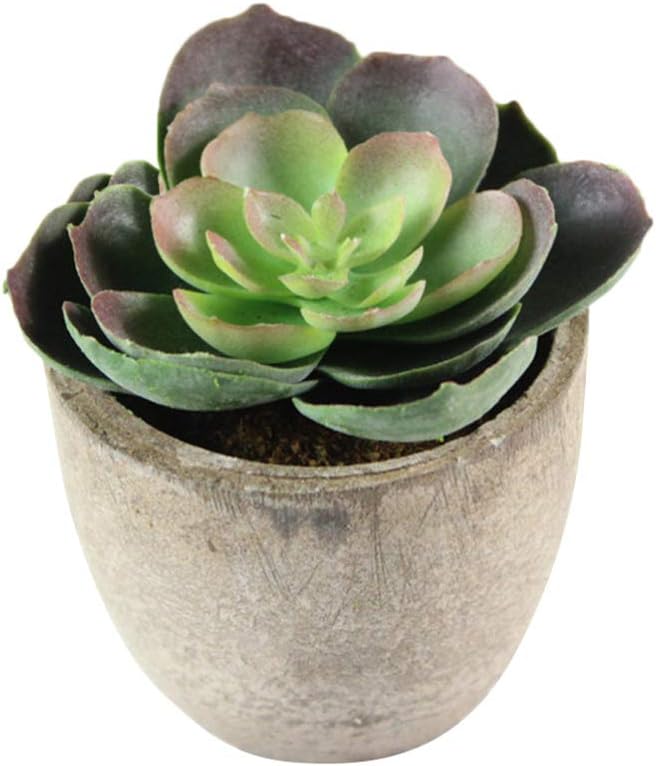 5pcs Artificial Succulent Plants Decorative Faux Plants