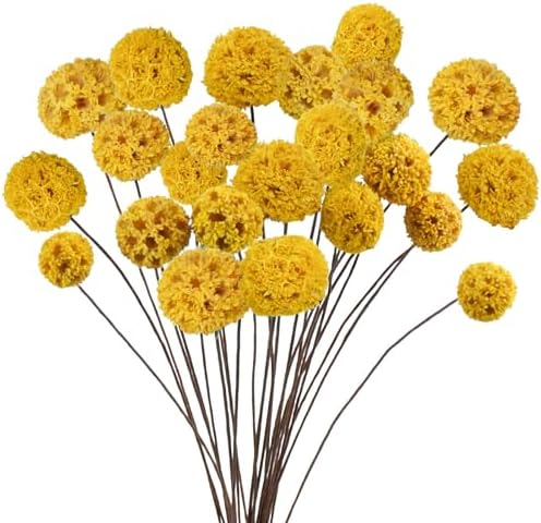 24 PCS Dried Craspedia Billy Balls Flowers Yellow