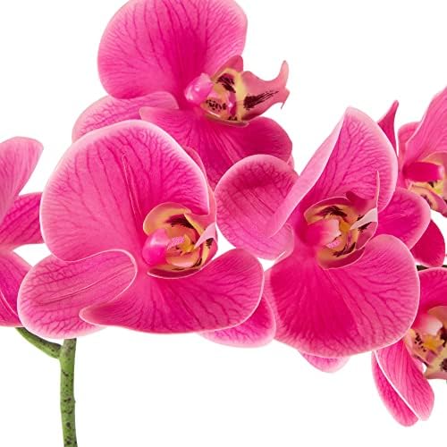 Northlight Real Touch Artificial Spring Orchids 2 Feet Pink