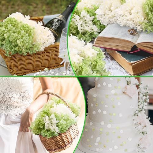 Real Dried Hydrangea Petals White and Green 21 Oz Pack