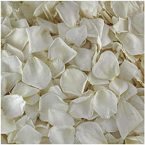 Cream Ivory Rose Petals 30 Cups Freeze-Dried