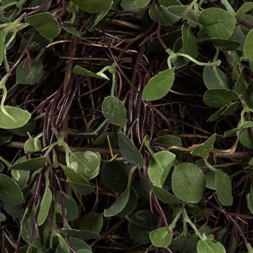 Vickerman 8 Inch Artificial Angel Vine Kissing Ball