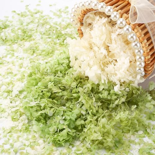 Real Dried Hydrangea Petals White and Green 21 Oz Pack