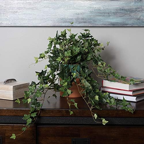 Vickerman 26 Inch Green Mini Ivy Hanging Bush
