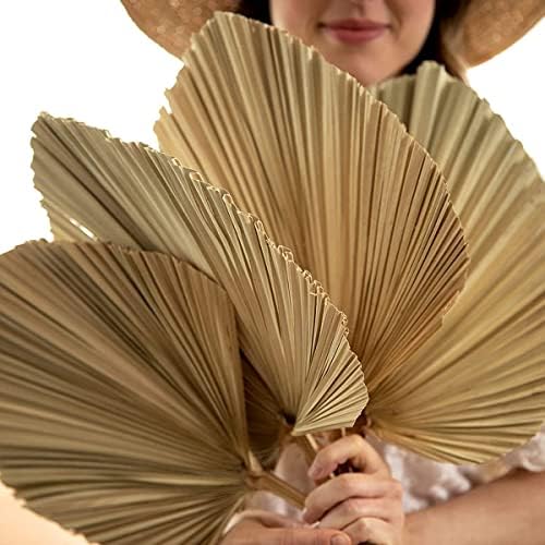 Palm Spears 4PCS Dried Natural Plant Decor