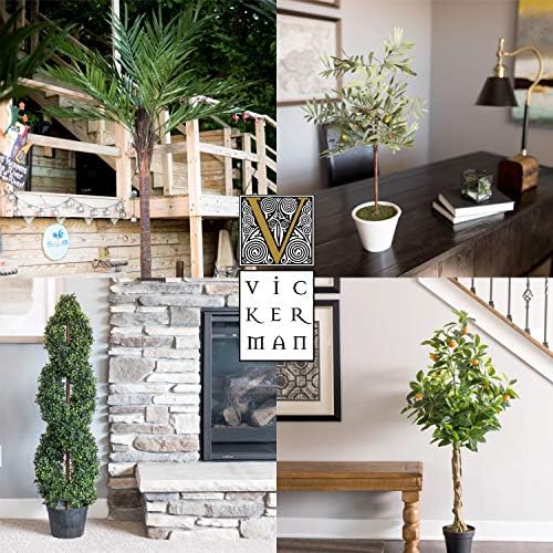 Vickerman 8 Inch Artificial Angel Vine Kissing Ball