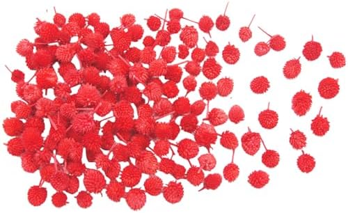 JOJAZE 100 Pcs Dried Flower Heads for Crafts Red Globe Dried Flowers