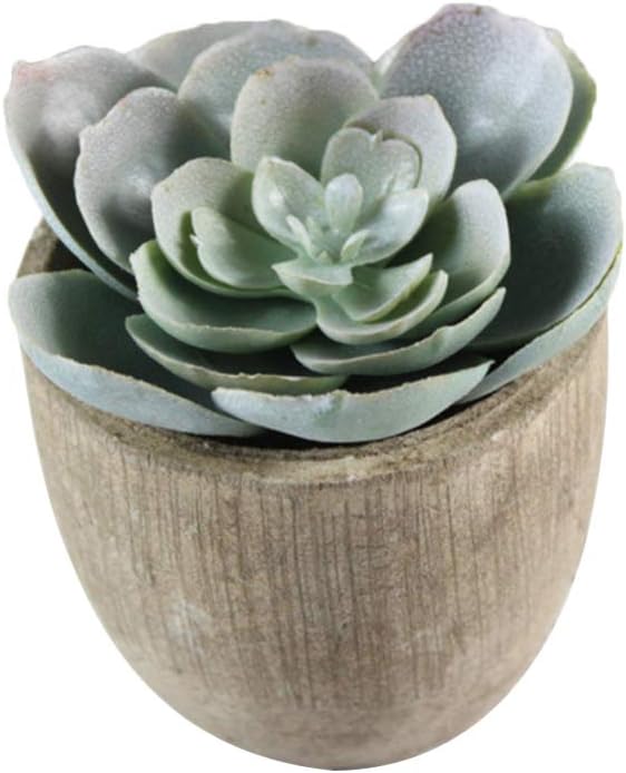 5pcs Artificial Succulent Plants Decorative Faux Plants