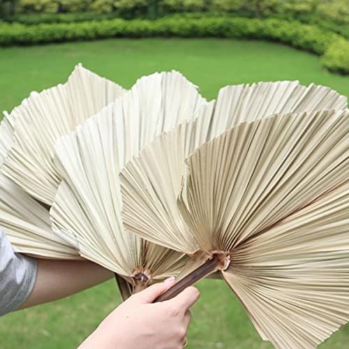 Palm Spears 4PCS Dried Natural Plant Decor
