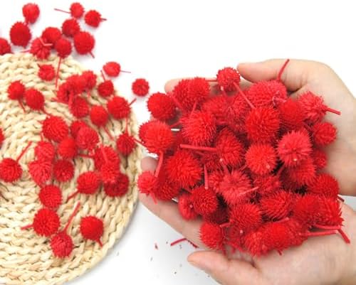 JOJAZE 100 Pcs Dried Flower Heads for Crafts Red Globe Dried Flowers