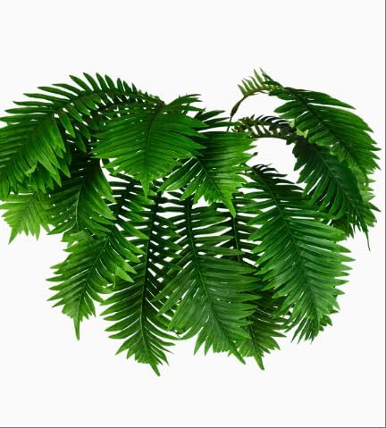 Yarmare Artificial Boston Fern Plant Set of 4