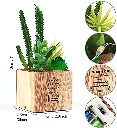 BEGONDIS 3 Piece Artificial Succulent Set with LED Lights