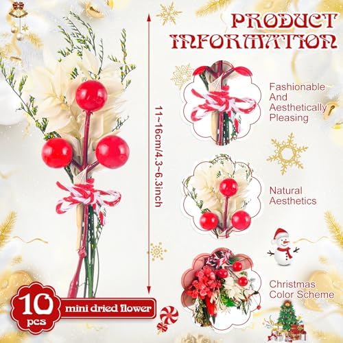 VAIPI 10 Pack Christmas Decor Mini Dried Flower Bouquets