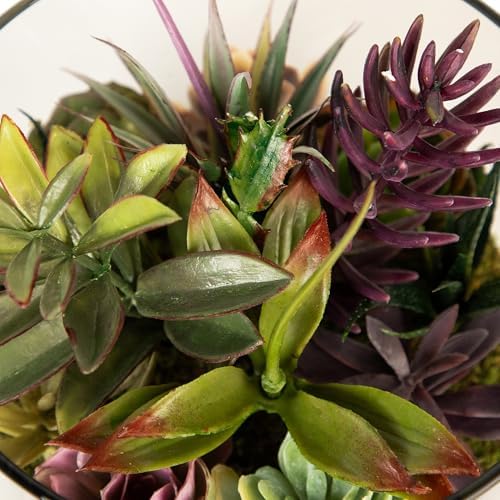 Northlight Artificial Mixed Succulent in 8 Round Glass Jar Green