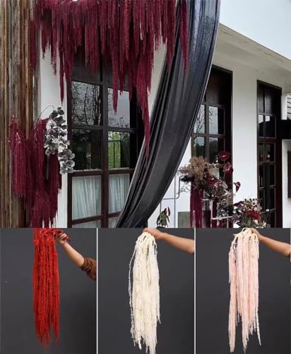 5 Piece Amaranthus Flower Dried Hanging Wedding Decor Red