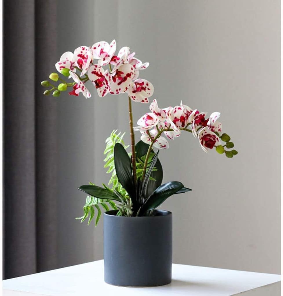 Lifelike Artificial Phalaenopsis Orchid Arrangement in Pot