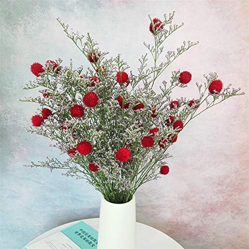 Natural Dried Flowers 15Pcs Strawberry Fruit Grass Wedding Bouquet Decoration