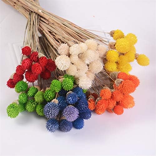 Natural Dried Flowers 15Pcs Strawberry Fruit Grass Wedding Bouquet Decoration
