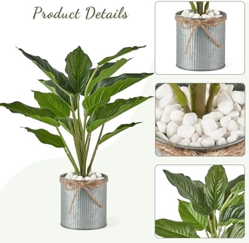 Mkono Artificial Succulent Plants 2 Pack in Glass and Farmhouse Pots