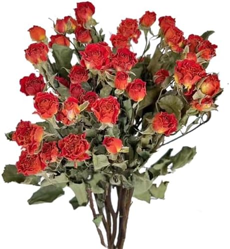 Natural Dried Orange Roses Bouquet for Wedding Decor
