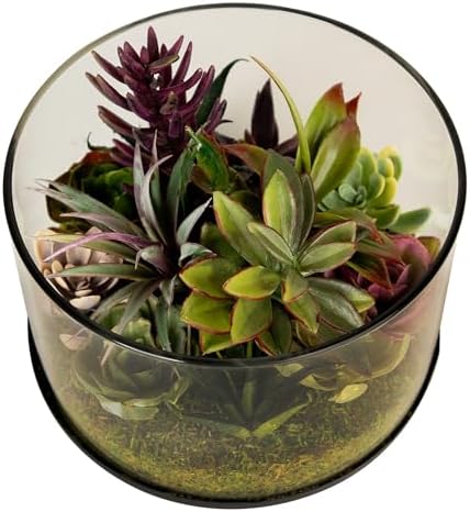 Northlight Artificial Mixed Succulent in 8 Round Glass Jar Green