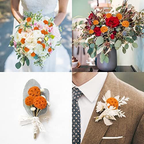 24 PCS Dried Billy Balls Flowers Orange Bouquet