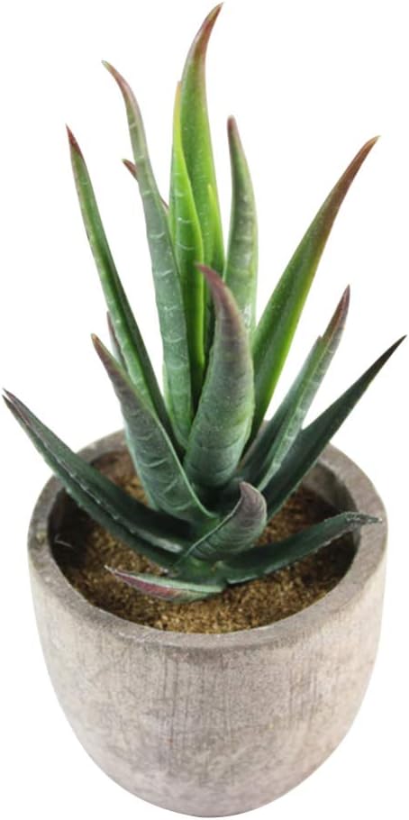 5pcs Artificial Succulent Plants Decorative Faux Plants