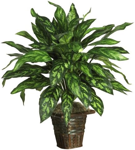 Nearly Natural Silver King Artificial Plant with Basket