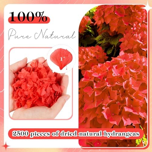 2500PCS Natural Red Hydrangea Petals for Wedding Aisle and Proposals