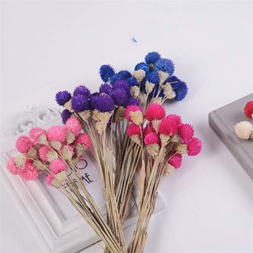 Natural Dried Flowers 15Pcs Strawberry Fruit Grass Wedding Bouquet Decoration